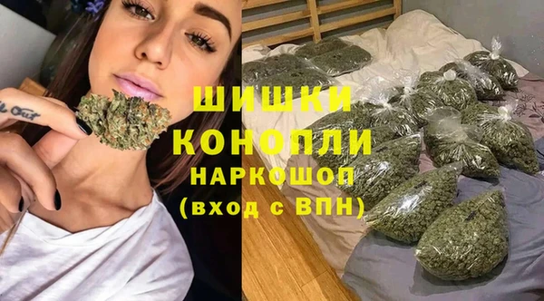 шишки Новый Уренгой
