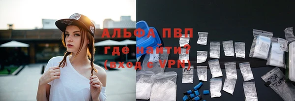 индика Михайловка