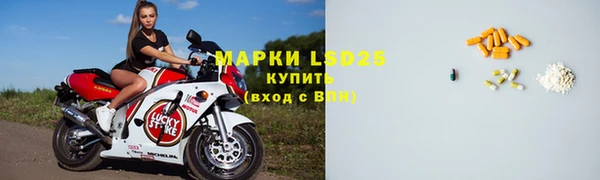 шишки Новый Уренгой
