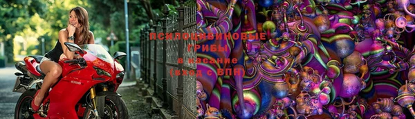 индика Михайловка