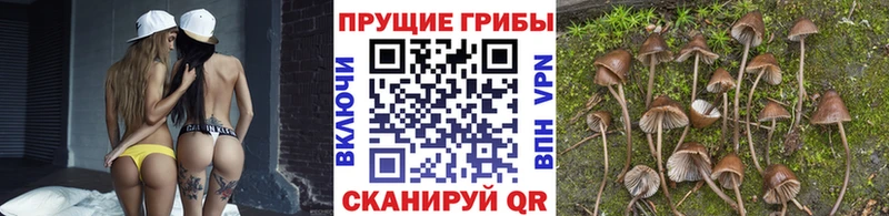Галлюциногенные грибы прущие грибы  Рыбинск 