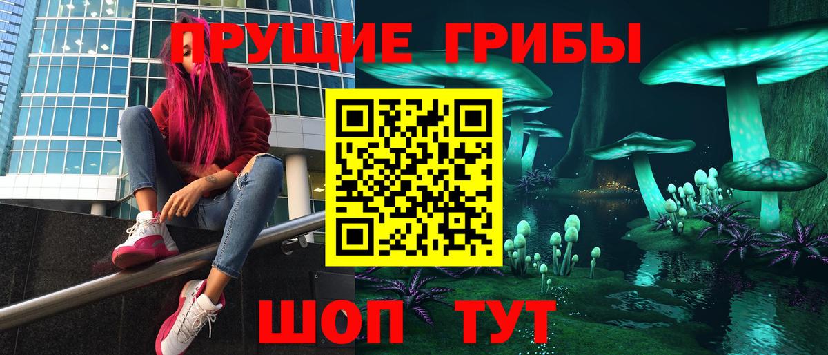 Галлюциногенные грибы Psilocybine cubensis Рыбинск