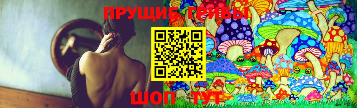 Рыбинск  закладка  Вход с VPN  Псилоцибиновые грибы мицелий  Галлюциногенные грибы Psilocybe 